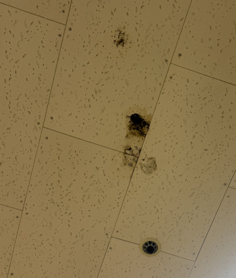 요가실 천장에 곰팡이가 너무 많습니다.