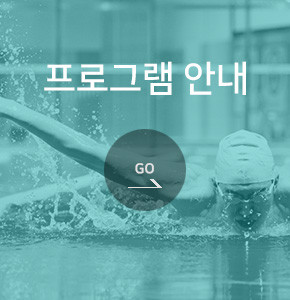 프로그램 안내